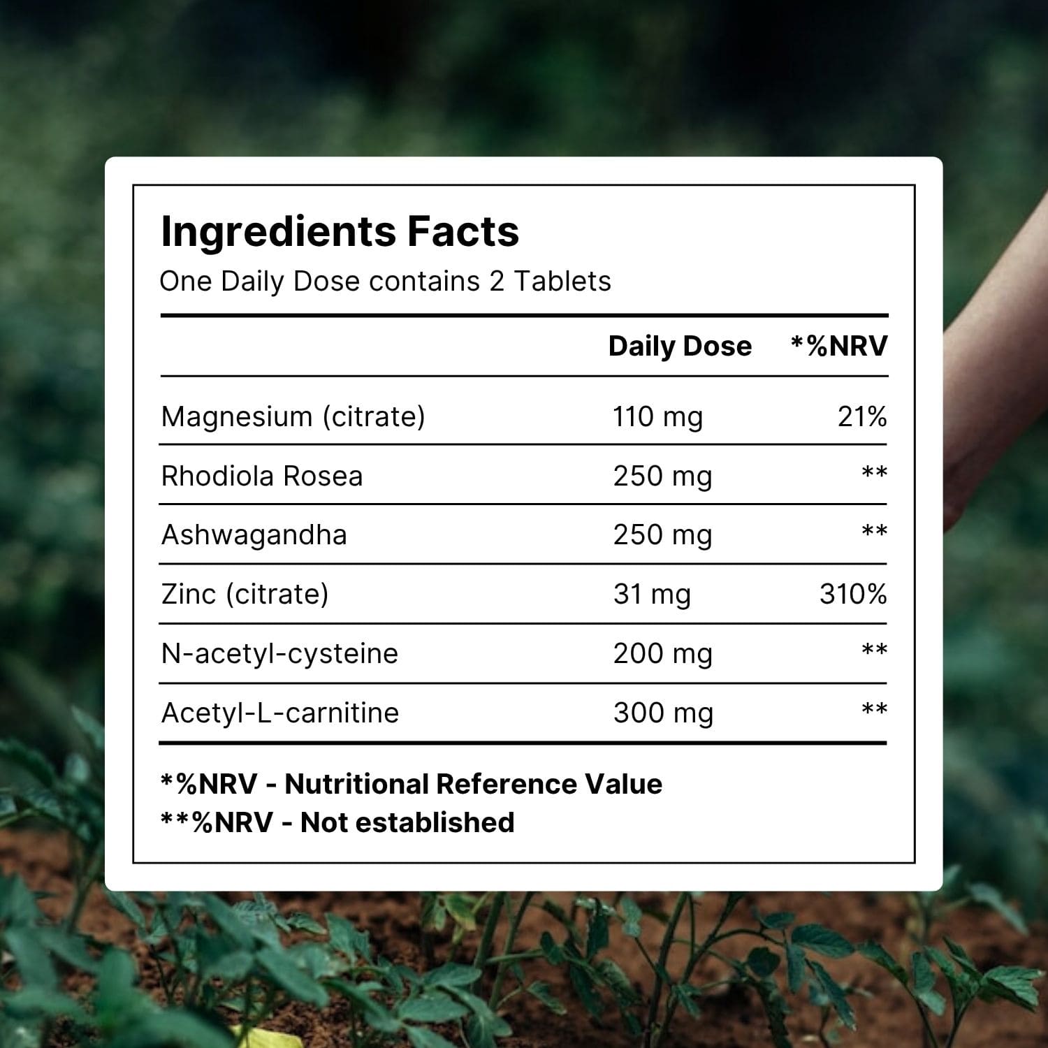Ready2 Festival Support Formula - ingredient list magnesium rhodiola rosea ashwagandha zinc n-acetylcysteine acetylcarnitine