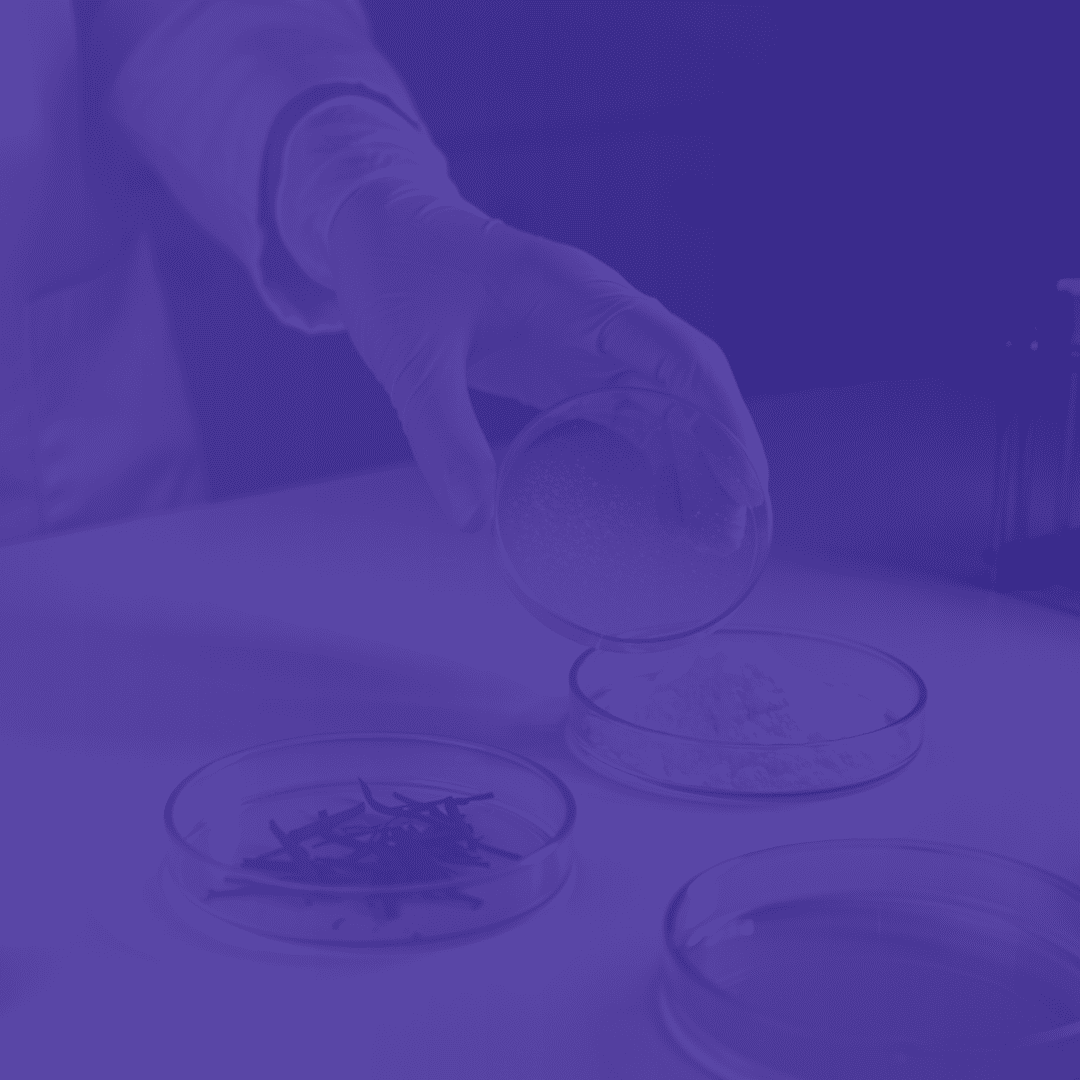 petri dishes with herbs and powders depicting our ingredients with a colour overlay