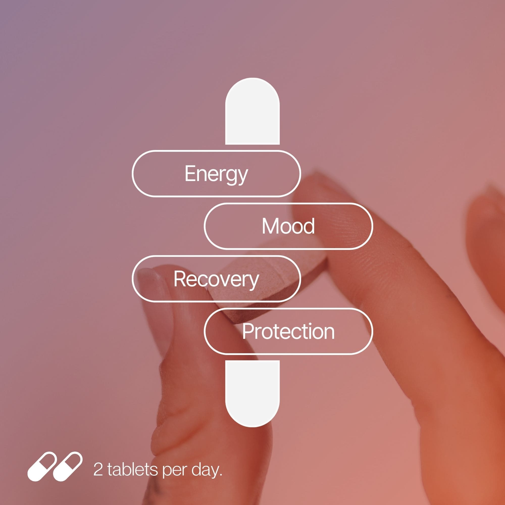 Ready2 Festival Support Formula - effects