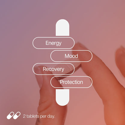Ready2 Festival Support Formula - effects